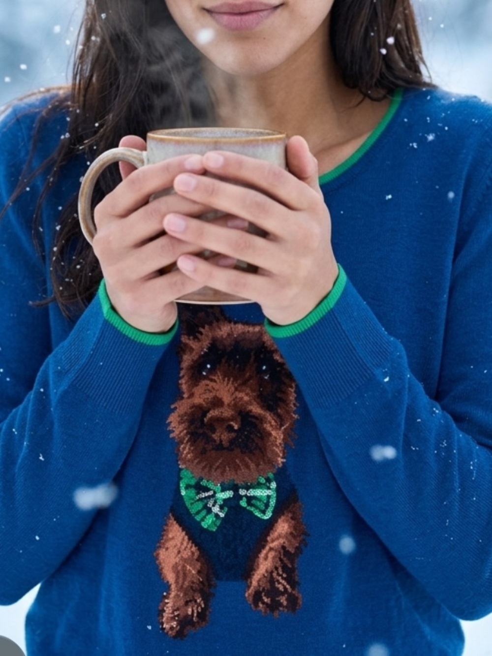 Land’s End dog print sweater NWT
